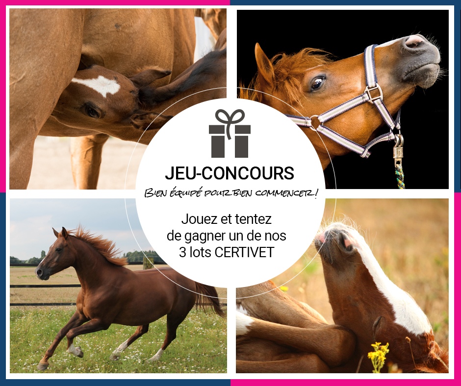 Jeu-Concours Equi'DNA Elevage