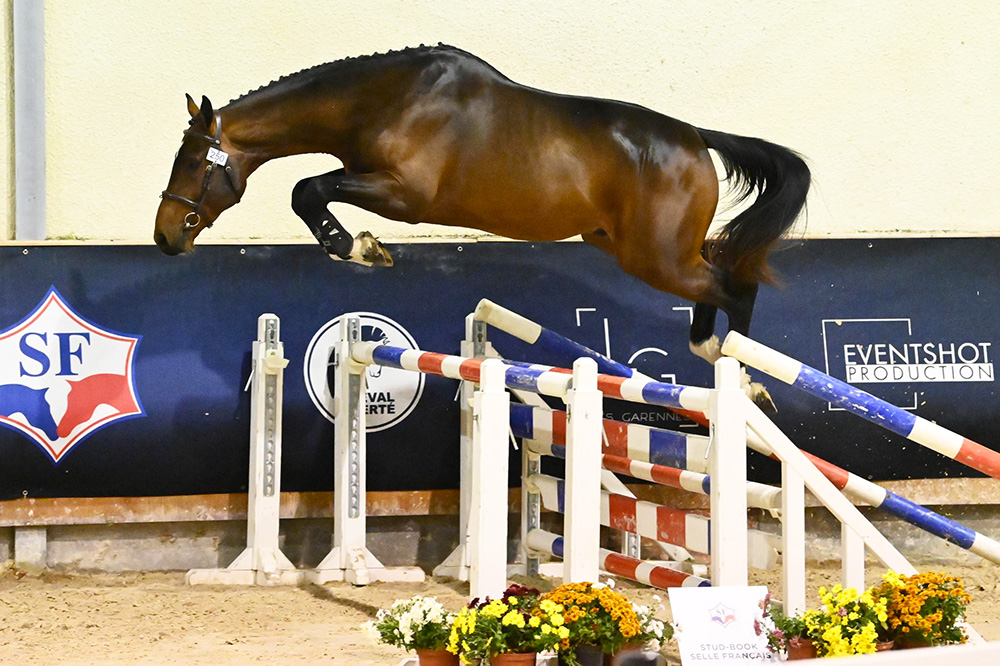 Nash Darizol Opiate - ph. Les Garennes