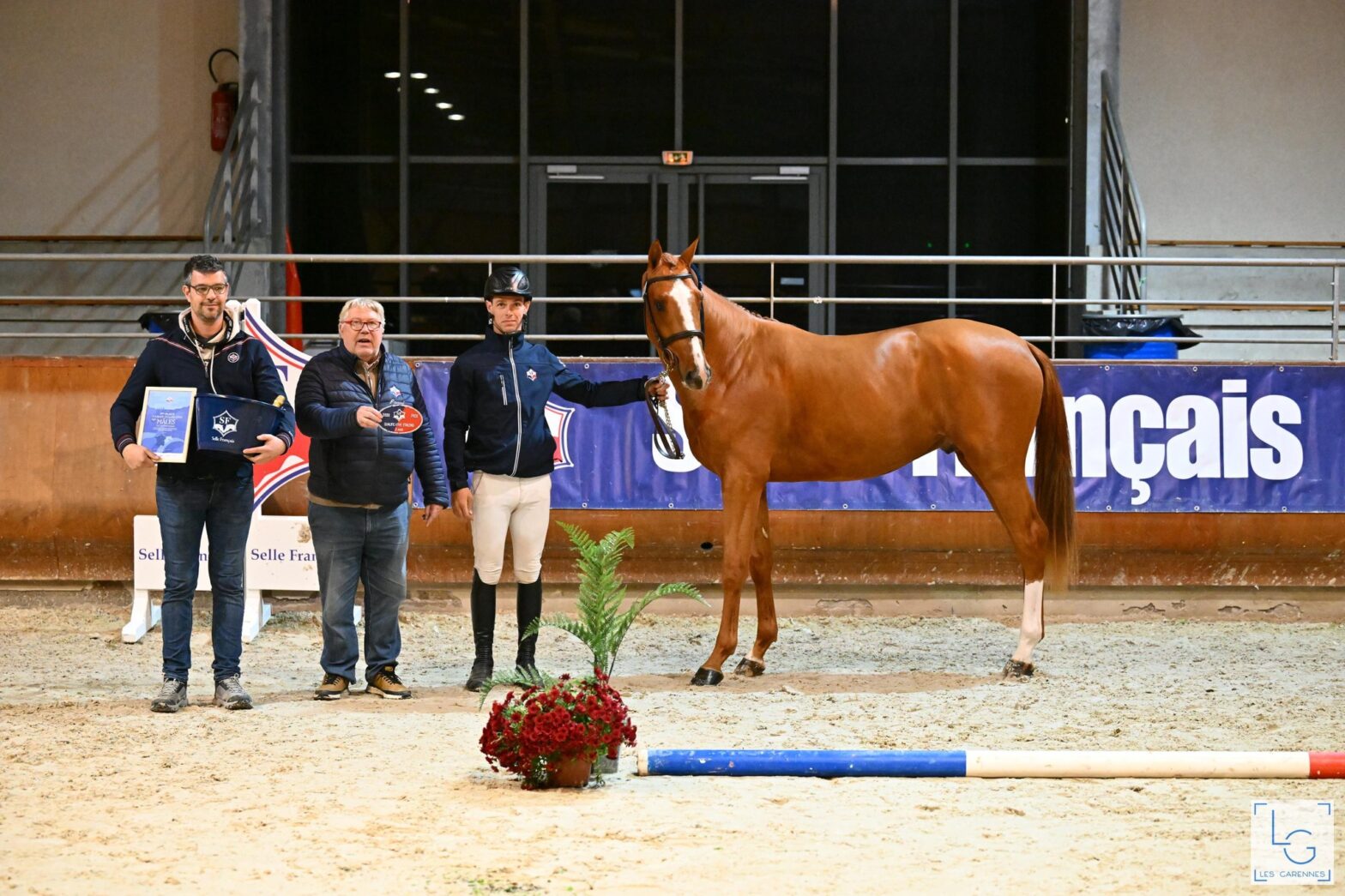 𝗡𝗔𝗣𝗢𝗟𝗜 𝗗𝗔𝗥𝗜𝗭𝗢𝗟 remporte la catégorie des 2 ans.